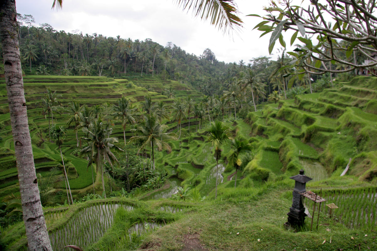 BALI, INDONÉSIE