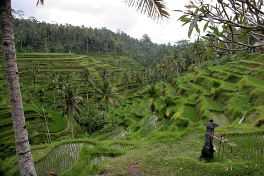 BALI, INDONÉSIE