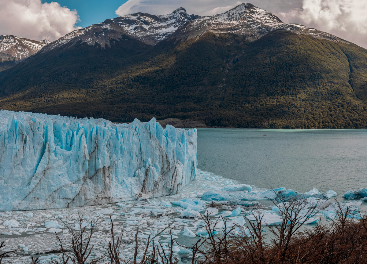 ARGENTINE