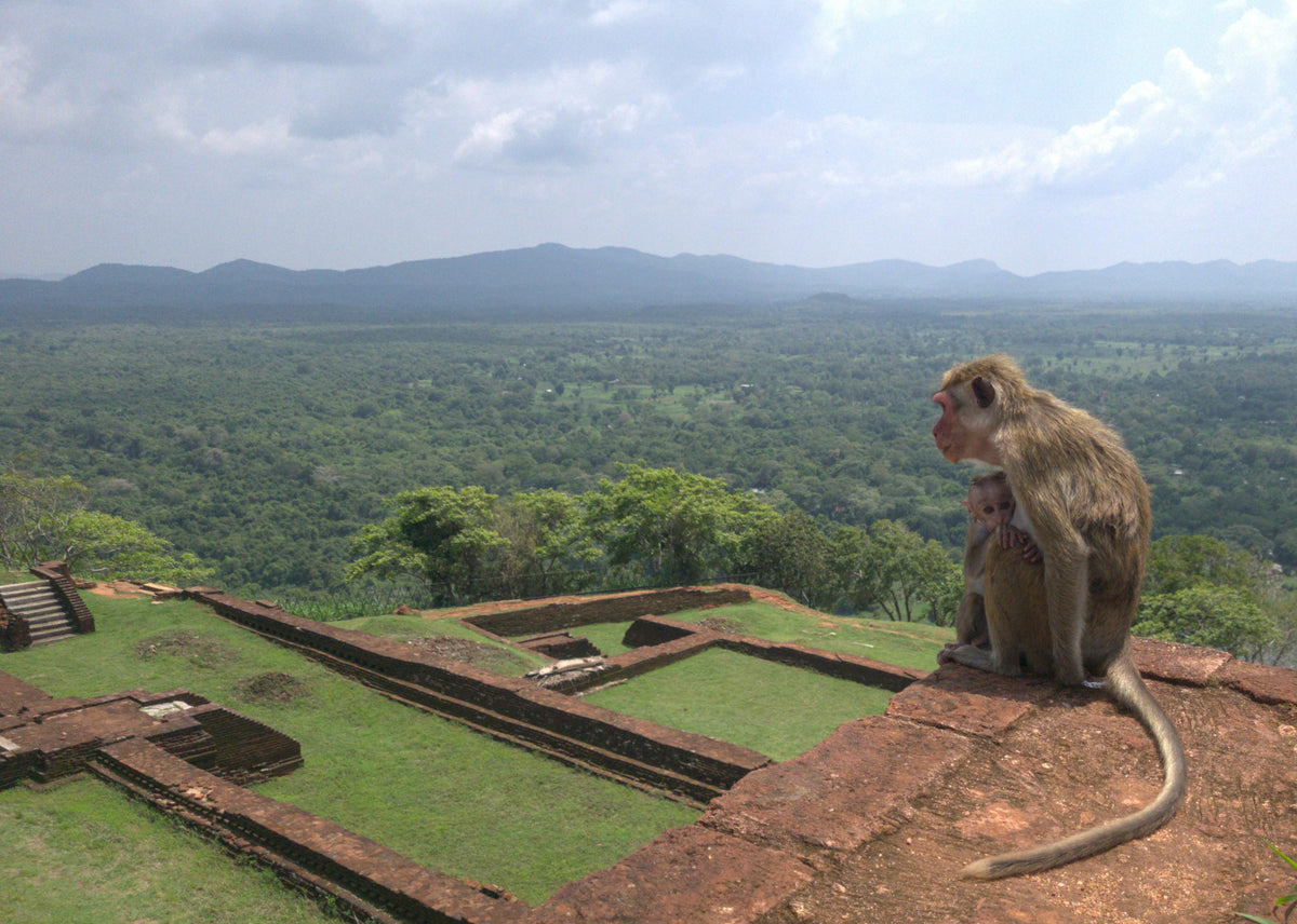 SRI LANKA